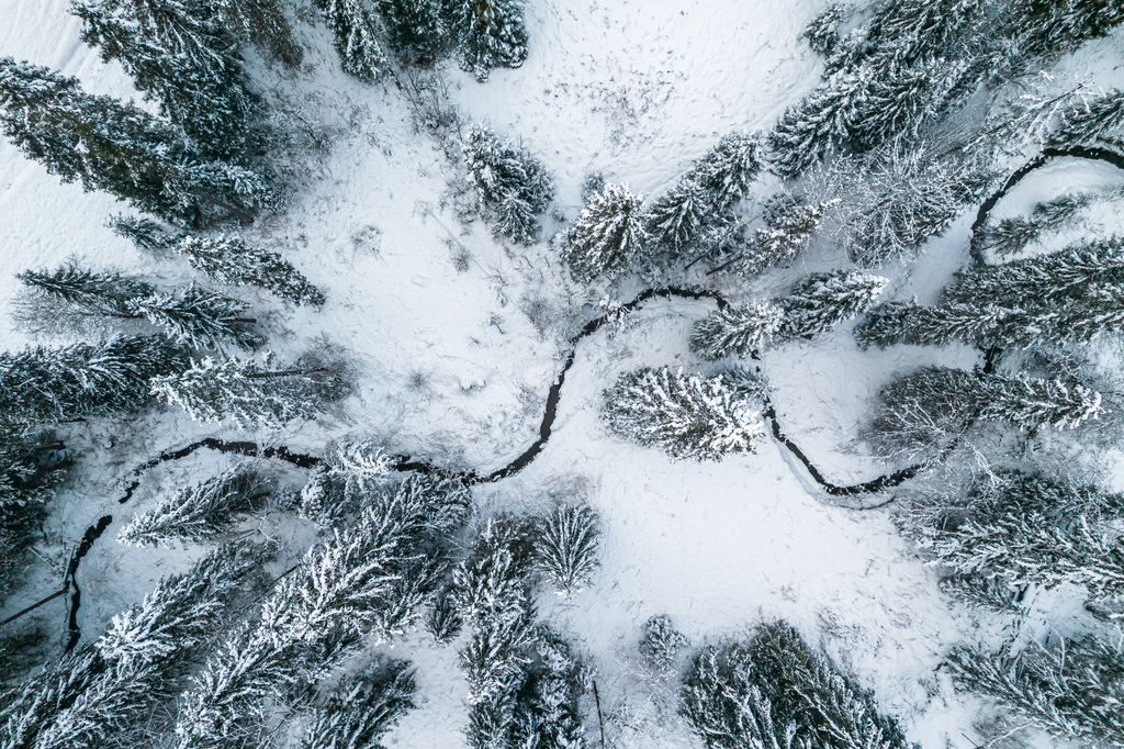 Drone hiver